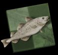  stockfish 